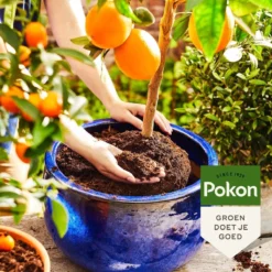 Pokon Bio Mediterrane Potgrond - 30L - Biologische Potgrond - 100 Dagen Voeding 10 Pokon Bio Mediterrane Potgrond - 30L - Biologische Potgrond - 100 Dagen Voeding -Goedkope Groene Liefde Winkel 1200x1200 17
