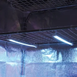 Secret Jardin Cosmorrow LED - 1 X 40 Watt - 90cm - 6500°K Groei - Ledlamp Set Compleet - Groeilamp Wit Licht - Waterdichte Ledverlichting 21 Secret Jardin Cosmorrow LED - 1 X 40 Watt - 90cm - 6500°K Groei - Ledlamp Set Compleet - Groeilamp Wit Licht - Waterdichte Ledverlichting -Goedkope Groene Liefde Winkel 1200x1200 208