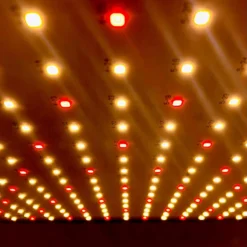 A Sunny Day LED Groeilamp - Bloeilamp - Kweeklamp - Stimuleert Bloei - Grow Light - Groeilamp Wit Licht - 45 Watt - 30 X 30 Cm - 225 LEDs -Goedkope Groene Liefde Winkel 1200x1200 213