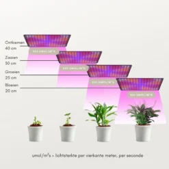 A Sunny Day LED Groeilamp - Kweeklamp - Full Spectrum - Groei & Bloei - Grow Light - Groeilamp Full Spectrum - 45 Watt - 30 X 30 Cm - 225 LEDs -Goedkope Groene Liefde Winkel 1200x1200 221