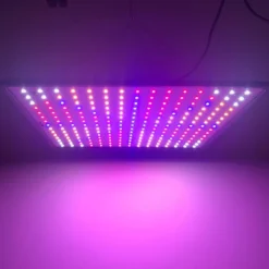 A Sunny Day LED Groeilamp - Kweeklamp - Full Spectrum - Groei & Bloei - Grow Light - Groeilamp Full Spectrum - 45 Watt - 30 X 30 Cm - 225 LEDs -Goedkope Groene Liefde Winkel 1200x1200 224
