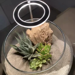 A Sunny Day Kweeklamp LED Ring Wit Licht - 3 Ringen - Groeilamp Voor Planten - Zonlicht Lamp - Grow Light -Goedkope Groene Liefde Winkel 1200x1200 237