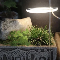 A Sunny Day Kweeklamp LED Ring Wit Licht - 3 Ringen - Groeilamp Voor Planten - Zonlicht Lamp - Grow Light -Goedkope Groene Liefde Winkel 1200x1200 238