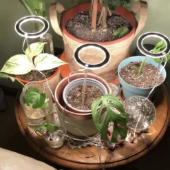 A Sunny Day Kweeklamp LED Ring Wit Licht - 3 Ringen - Groeilamp Voor Planten - Zonlicht Lamp - Grow Light -Goedkope Groene Liefde Winkel 1200x1200 239