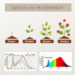 A Sunny Day Kweeklamp LED Warm Wit Licht Inclusief USB Voeding En Tafelclip - Groeilamp Voor De Bloei Van Planten - Zonlicht Lamp - Grow Light - 40 Watt - Automatisch Timer Voor 3-9-12 Uur -Goedkope Groene Liefde Winkel 1200x1200 248