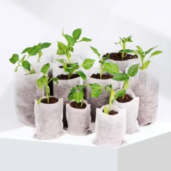 BioGrow | Milieuvriendelijke Groeipotjes | 20 Stuks | Ø7x9cm | Biologisch Afbreekbaar | Gemaakt Van Bamboe | Ideaal Voor Stekken, Zaaien En Groeien | Geschikt Als Turfpotjes, Stekzakjes, Groeibakjes En Zaaibakjes -Goedkope Groene Liefde Winkel 1200x1200 277