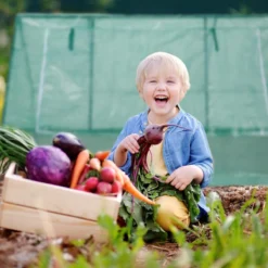 Relaxdays Kweekkas - 110 X 180 X 150 Cm - Foliekas - Uv-bestendig - Laag - Tuinkas - Groen 14 Relaxdays Kweekkas - 110 X 180 X 150 Cm - Foliekas - Uv-bestendig - Laag - Tuinkas - Groen -Goedkope Groene Liefde Winkel 1200x1200 344