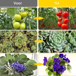 Ortho® - LED Groeilamp - Wit Licht - Bloeilamp - Kweeklamp - Full Spectrum - Grow Light - Groei Lamp (met 3 Lampen) Met Flexibele Lamphouder - Hoge Lichtintensiteit - Klem Spotje - 3x -Goedkope Groene Liefde Winkel 1200x1200 35