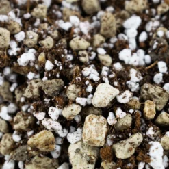 Bonsai Grond Mix - 5L - SYBASoil - Potgrond - Zonder Turf/veen -Goedkope Groene Liefde Winkel 1200x1200 361