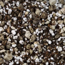 Bonsai Grond Mix - 5L - SYBASoil - Potgrond - Zonder Turf/veen -Goedkope Groene Liefde Winkel 1200x1200 362