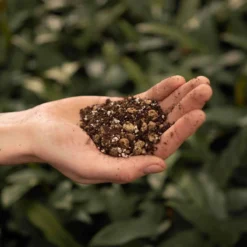 Bonsai Grond Mix - 5L - SYBASoil - Potgrond - Zonder Turf/veen -Goedkope Groene Liefde Winkel 1200x1200 364