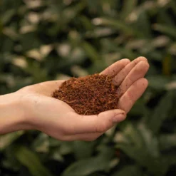 SYBASoil Kokosvezel 3L - Zoutvrij - Perfect Voor Stekken & Zaaien -Goedkope Groene Liefde Winkel 1200x1200 365