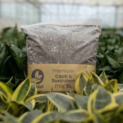 SYBASoil Cactus & Vetplant Mix 5L - Turfvrije Potgrond Mix - 6 Maanden Voeding -Goedkope Groene Liefde Winkel 1200x1200 372
