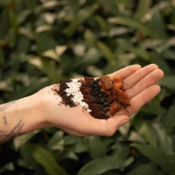 SYBASoil Aroid Mix 5L - Turfvrije Potgrond Mix - 6 Maanden Voeding -Goedkope Groene Liefde Winkel 1200x1200 374