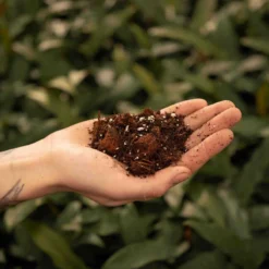 SYBASoil Aroid Mix 5L - Turfvrije Potgrond Mix - 6 Maanden Voeding -Goedkope Groene Liefde Winkel 1200x1200 380