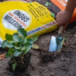 ECOstyle Moestuin Grond Groente Fruit & Kruiden Turfvrije Potgrond - Organische Voeding Voor 3 Maanden - Kokosvezel - 30 L -Goedkope Groene Liefde Winkel 1200x1200 383