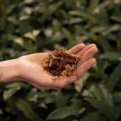 SYBASoil Orchidee Mix 5L - Turfvrije Potgrond Mix - 6 Maanden Voeding -Goedkope Groene Liefde Winkel 1200x1200 386