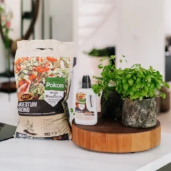 Pokon Bio Moestuingrond - 10l - Potgrond Voor Moestuinen - 100 Dagen Voeding -Goedkope Groene Liefde Winkel 1200x1200 387