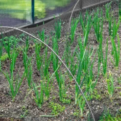 Merkloos Kweektunnel Met Zwart Gaasnet - 300x45x45 Cm -Goedkope Groene Liefde Winkel 1200x1200 403