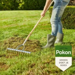Pokon Graszaad Herstel - 2kg - Gazonherstel - Geschikt Voor 80m² Tot 120m² - Supersnel Egaal Groen Gras -Goedkope Groene Liefde Winkel 1200x1200 425