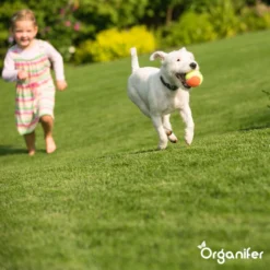 Speelgazon Graszaad (1kg Voor 50m2) - Snelkiemend En Zelfherstellend Sportgazon Bestand Tegen Betreding - Resilient - Organifer -Goedkope Groene Liefde Winkel 1200x1200 432