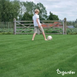 Speelgazon Graszaad (1kg Voor 50m2) - Snelkiemend En Zelfherstellend Sportgazon Bestand Tegen Betreding - Resilient - Organifer -Goedkope Groene Liefde Winkel 1200x1200 435
