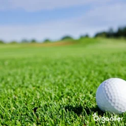 Speelgazon Graszaad (1kg Voor 50m2) - Snelkiemend En Zelfherstellend Sportgazon Bestand Tegen Betreding - Resilient - Organifer -Goedkope Groene Liefde Winkel 1200x1200 439