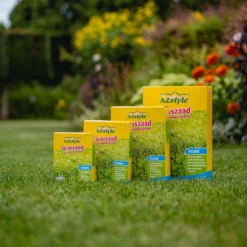 ECOStyle Graszaad-Inzaai Voor Nieuwe Gazons - Dicht Gazon Zonder Mos - Sterke Grasmat - Snelkiemend Graszaad - Speel & Siergazons - 50 M² - 1 KG -Goedkope Groene Liefde Winkel 1200x1200 467