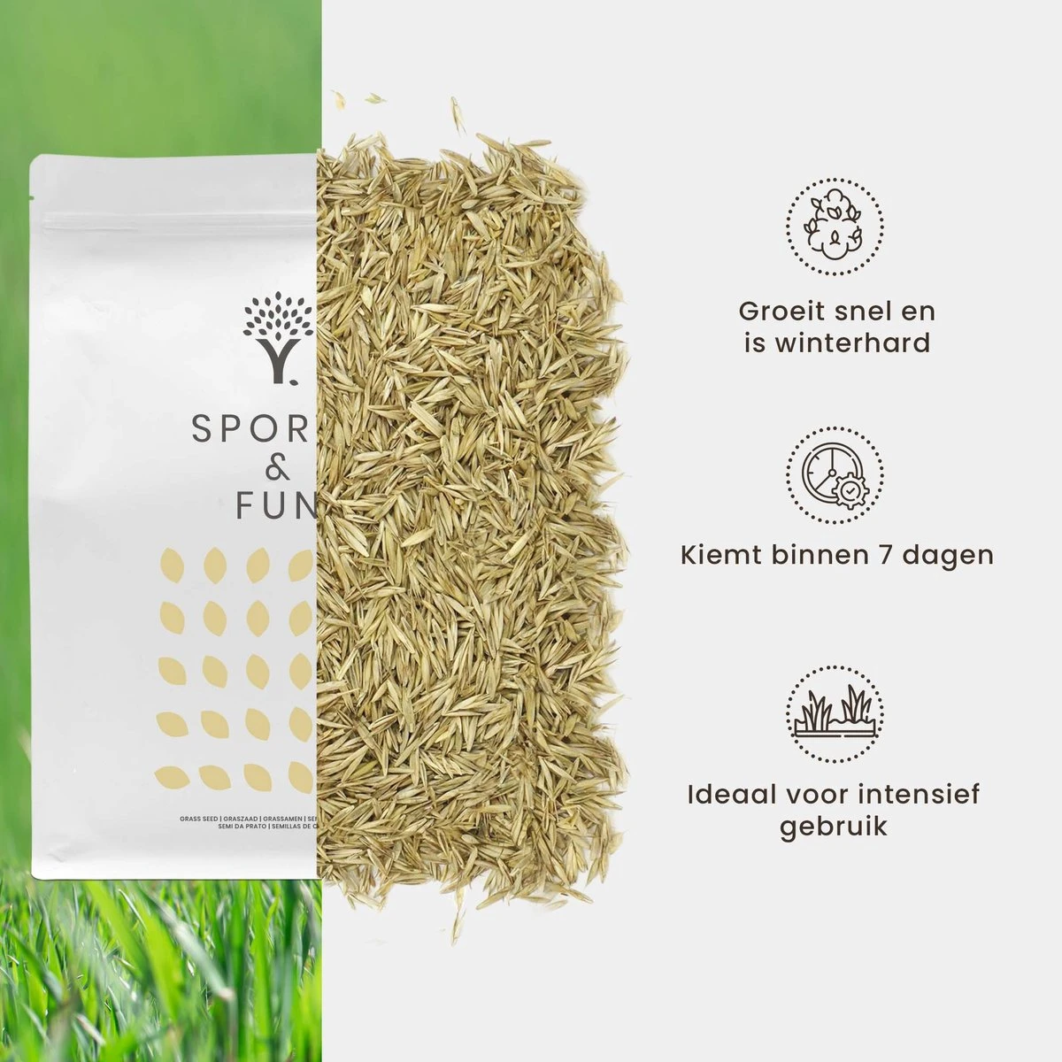 Speel En Sport Graszaad Voor 100m² Gras | Bestendig Tegen Intensief Gebruik | Gazon Voor Sporten & Spelen 5 Speel En Sport Graszaad Voor 100m² Gras | Bestendig Tegen Intensief Gebruik | Gazon Voor Sporten & Spelen - Afbeelding 3