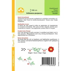 Hortitops Rode Zonnehoed Echinacea Purpurea -Goedkope Groene Liefde Winkel 1200x1200 493