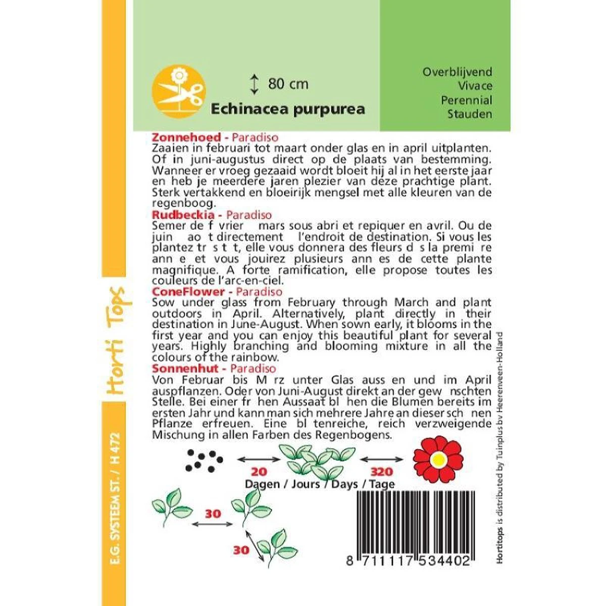 Hortitops Zaden - Echinacea, Zonnehoed Paradiso 4 Hortitops Zaden - Echinacea, Zonnehoed Paradiso - Afbeelding 2