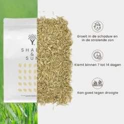 Schaduw Graszaad Voor 100m² Gras | Voor Een Gazon Met Veel Schaduw | Hitte & Droogte Resistent -Goedkope Groene Liefde Winkel 1200x1200 531