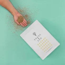 Schaduw Graszaad Voor 50m² Gras | Voor Een Gazon Met Veel Schaduw | Hitte & Droogte Resistent -Goedkope Groene Liefde Winkel 1200x1200 543