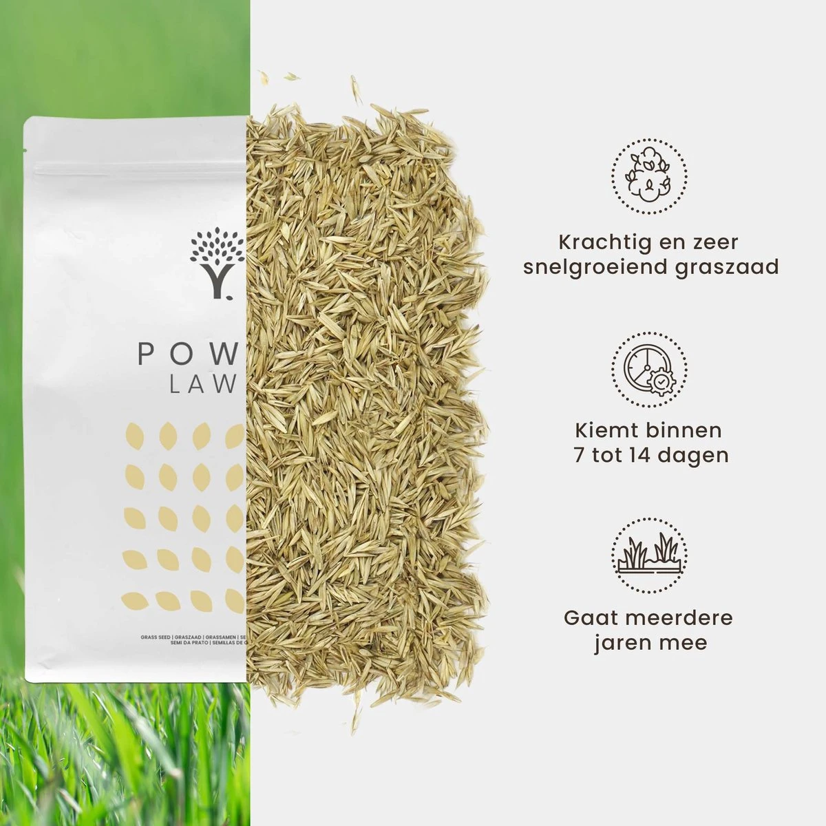Snelkiemend Power Graszaad Voor 100m² Gras | Hoge Kwaliteit Gras Voor Een Snel Groeiend Meerjarig Gazon 6 Snelkiemend Power Graszaad Voor 100m² Gras | Hoge Kwaliteit Gras Voor Een Snel Groeiend Meerjarig Gazon - Afbeelding 4