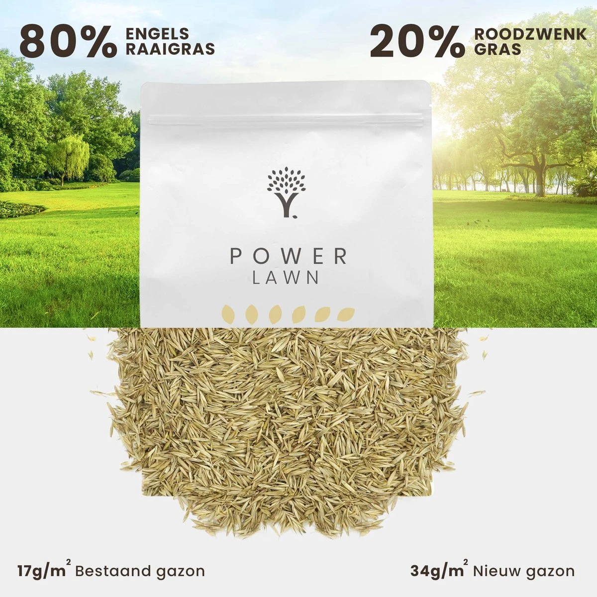 Snelkiemend Power Graszaad Voor 100m² Gras | Hoge Kwaliteit Gras Voor Een Snel Groeiend Meerjarig Gazon 8 Snelkiemend Power Graszaad Voor 100m² Gras | Hoge Kwaliteit Gras Voor Een Snel Groeiend Meerjarig Gazon - Afbeelding 6