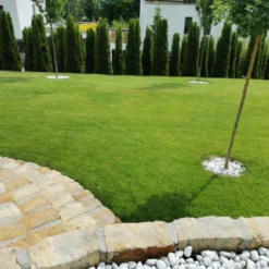 Snelkiemend Power Graszaad Voor 100m² Gras | Hoge Kwaliteit Gras Voor Een Snel Groeiend Meerjarig Gazon 17 Snelkiemend Power Graszaad Voor 100m² Gras | Hoge Kwaliteit Gras Voor Een Snel Groeiend Meerjarig Gazon -Goedkope Groene Liefde Winkel 1200x1200 557