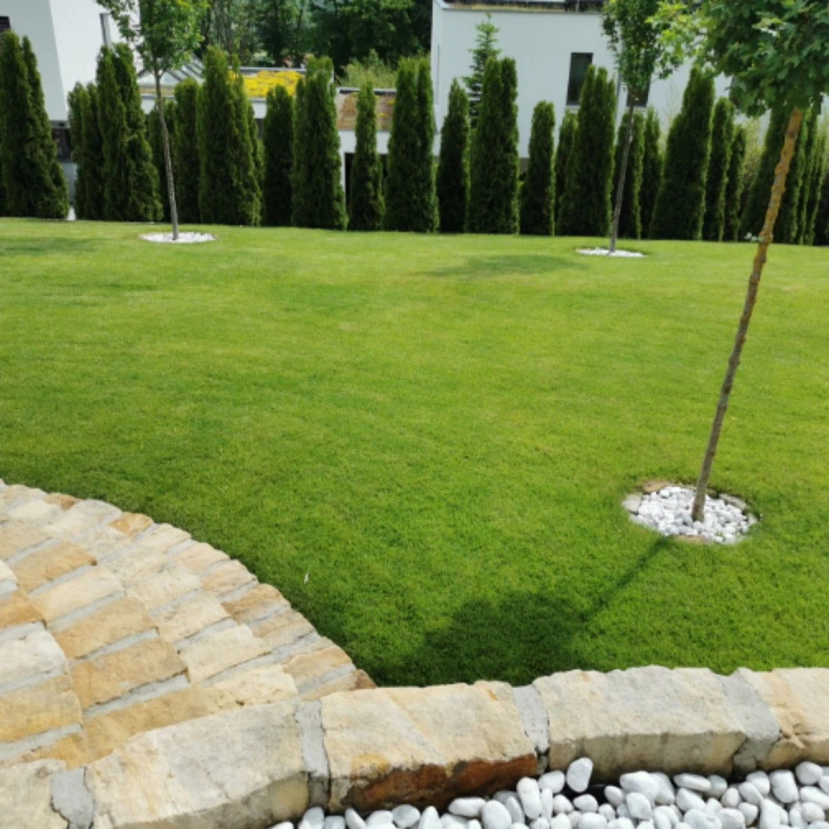 Snelkiemend Power Graszaad Voor 100m² Gras | Hoge Kwaliteit Gras Voor Een Snel Groeiend Meerjarig Gazon 9 Snelkiemend Power Graszaad Voor 100m² Gras | Hoge Kwaliteit Gras Voor Een Snel Groeiend Meerjarig Gazon - Afbeelding 7