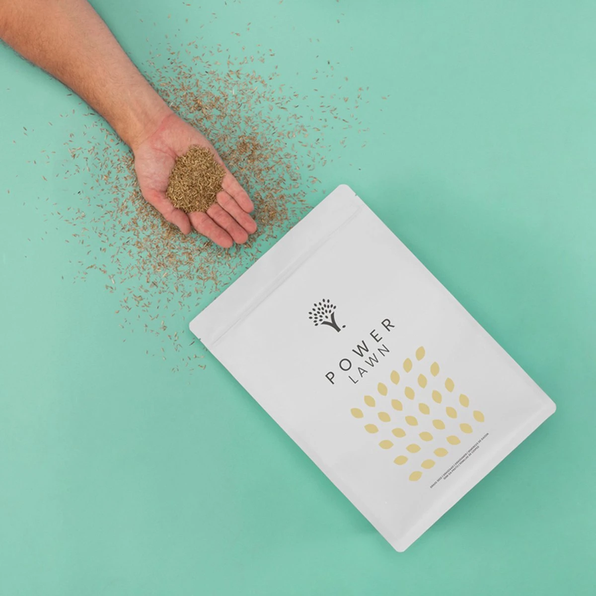 Snelkiemend Power Graszaad Voor 100m² Gras | Hoge Kwaliteit Gras Voor Een Snel Groeiend Meerjarig Gazon 10 Snelkiemend Power Graszaad Voor 100m² Gras | Hoge Kwaliteit Gras Voor Een Snel Groeiend Meerjarig Gazon - Afbeelding 8