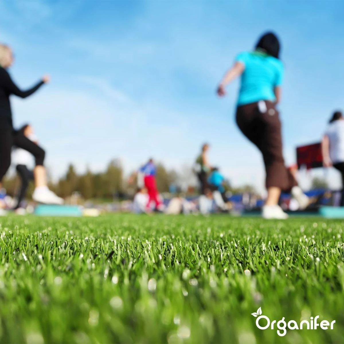 Herstelgazon Graszaad Met Grote Kiemkracht – Fast Repair (5 Kg Voor 250m2) Organifer 14 Herstelgazon Graszaad Met Grote Kiemkracht – Fast Repair (5 Kg Voor 250m2) Organifer - Afbeelding 12