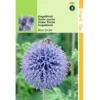 Hortitops Kogeldistel Blue Globe -Goedkope Groene Liefde Winkel 1200x1200 577