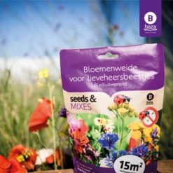 Seeds & Mixes Bloemenweide Zaden Meerjarig En Wilde Bloemen 2 Stuks 9 Seeds & Mixes Bloemenweide Zaden Meerjarig En Wilde Bloemen 2 Stuks -Goedkope Groene Liefde Winkel 1200x1200 578