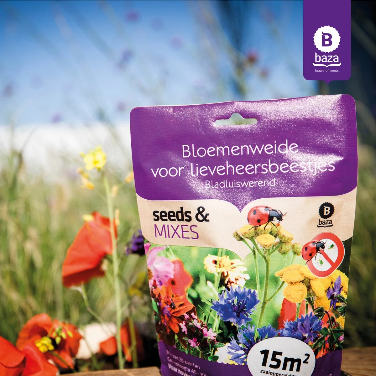 Seeds & Mixes Bloemenweide Zaden Meerjarig En Wilde Bloemen 2 Stuks 4 Seeds & Mixes Bloemenweide Zaden Meerjarig En Wilde Bloemen 2 Stuks - Afbeelding 2