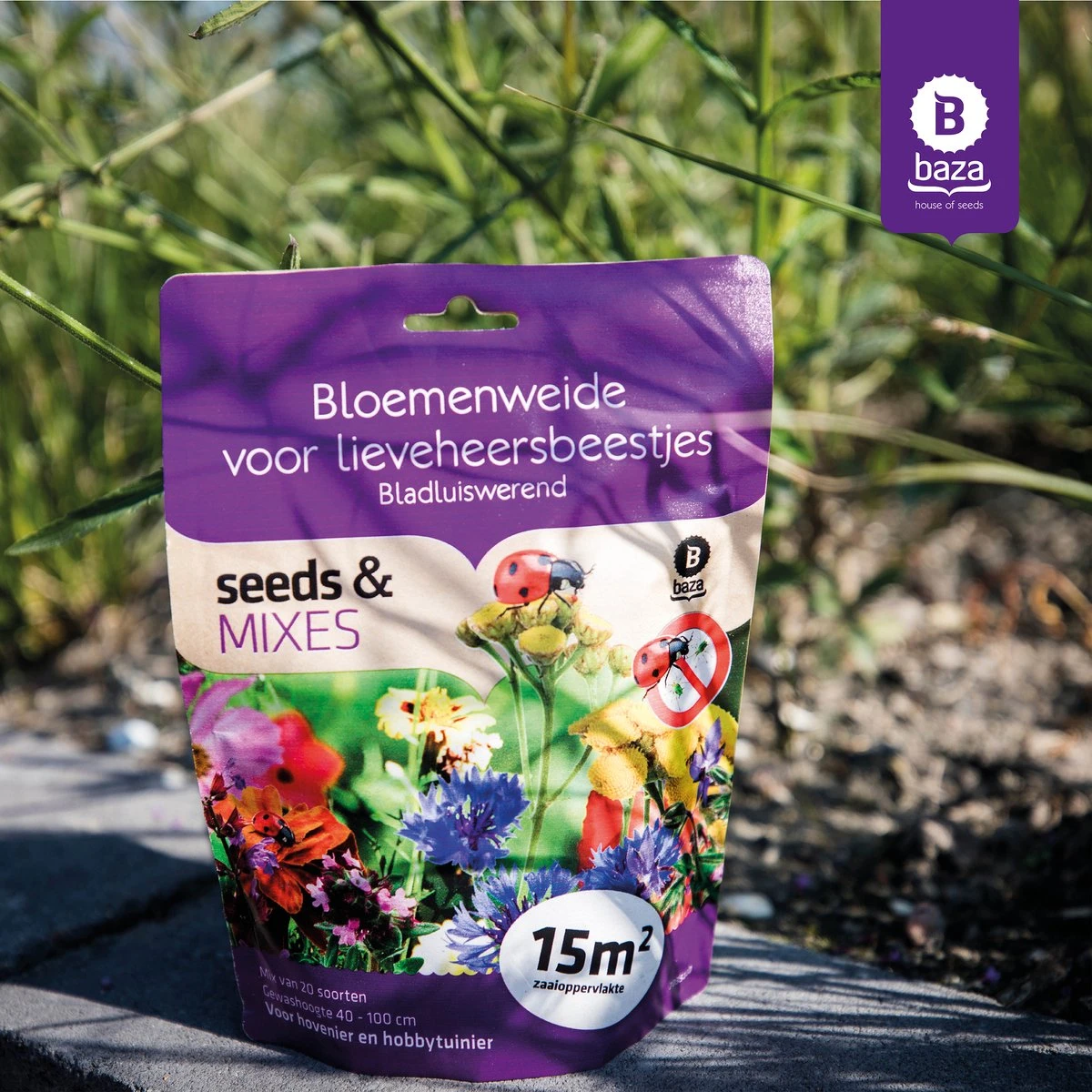 Seeds & Mixes Bloemenweide Zaden Meerjarig En Wilde Bloemen 2 Stuks 6 Seeds & Mixes Bloemenweide Zaden Meerjarig En Wilde Bloemen 2 Stuks - Afbeelding 4