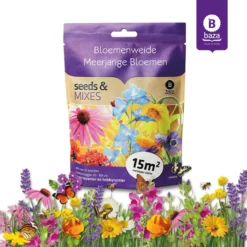 Seeds & Mixes Bloemenweide Zaden Meerjarig En Wilde Bloemen 2 Stuks 12 Seeds & Mixes Bloemenweide Zaden Meerjarig En Wilde Bloemen 2 Stuks -Goedkope Groene Liefde Winkel 1200x1200 581