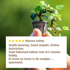B-seed Zaden Set Incl. E-Book Bonsai Zaden Kweken - Boompje In Pot - Kamerplanten - Kweekset – Cadeau Man & Vrouw - Geschenkset -Goedkope Groene Liefde Winkel 1200x1200 595