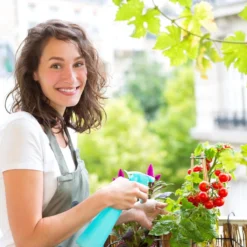 Grouw Mini-kweekkast -Goedkope Groene Liefde Winkel 1200x1200 64