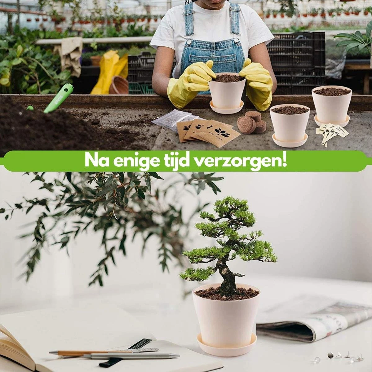 Bonsai Starters Kit - Bonsai Boompje - 5 Delige Set - 4 Soorten Zaden - Incl. E-book & Schaartje 4 Bonsai Starters Kit - Bonsai Boompje - 5 Delige Set - 4 Soorten Zaden - Incl. E-book & Schaartje - Afbeelding 2