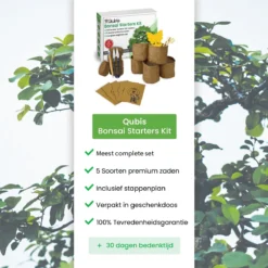 Qubis Bonsai Starters Kit - 23 Delige Kweekset - 5 Soorten Premium Zaden - DIY Pakket - Binnen Bonsai Boompje Kweken - Incl. Rouwvliegjes Vanger -Goedkope Groene Liefde Winkel 1200x1200 688