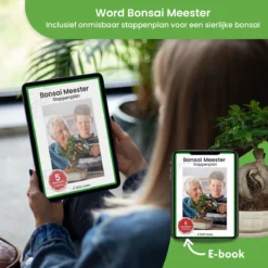 Qubis Bonsai Starters Kit - 23 Delige Kweekset - 5 Soorten Premium Zaden - DIY Pakket - Binnen Bonsai Boompje Kweken - Incl. Rouwvliegjes Vanger -Goedkope Groene Liefde Winkel 1200x1200 690