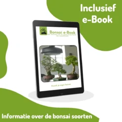 Bonsai Zaden 6 Soorten Incl. E-Book - Kweekset - Boompje In Pot - Kamerplanten – Kerstcadeau -Goedkope Groene Liefde Winkel 1200x1200 734
